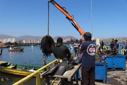 Fondo marino de la caleta de Guayacán recibe operativo de limpieza