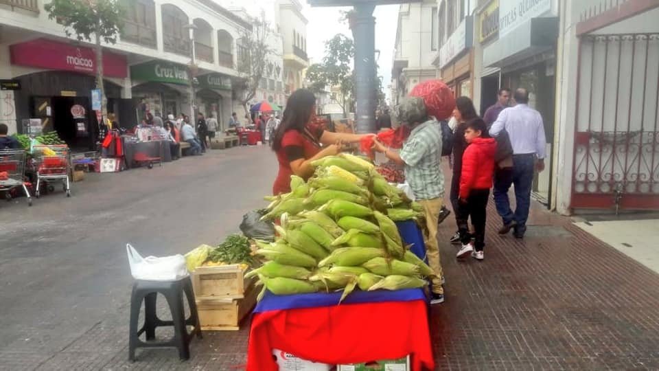 Cuestionan que calles céntricas de la ciudad funcionen como ferias libres