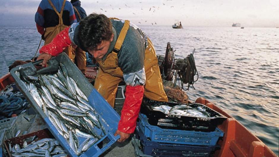 Gremio de pescadores acusa “engaño” tras reemplazo de su bono especial