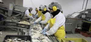Subsidio-al-empleo-e1601314498790-850x400