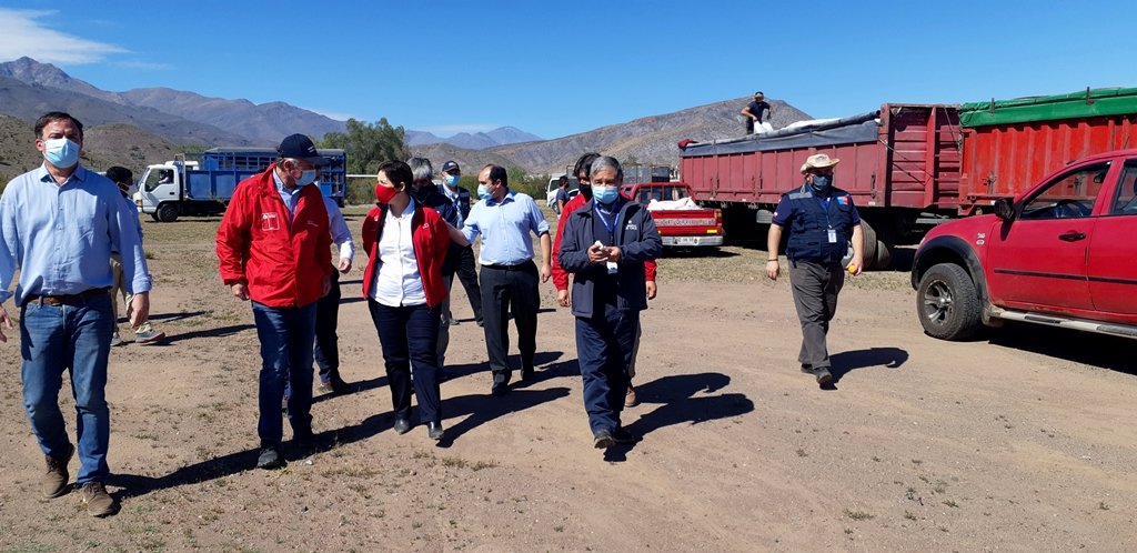 Con presupuesto de $2 mil millones, Gobierno inicia programa enfocado a fortalecer el rubro caprino lechero