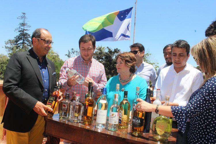 Solicitan poner en marcha plan de protección de la denominación de origen del Pisco