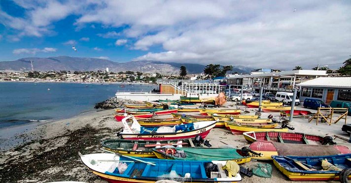 caletalosvilos