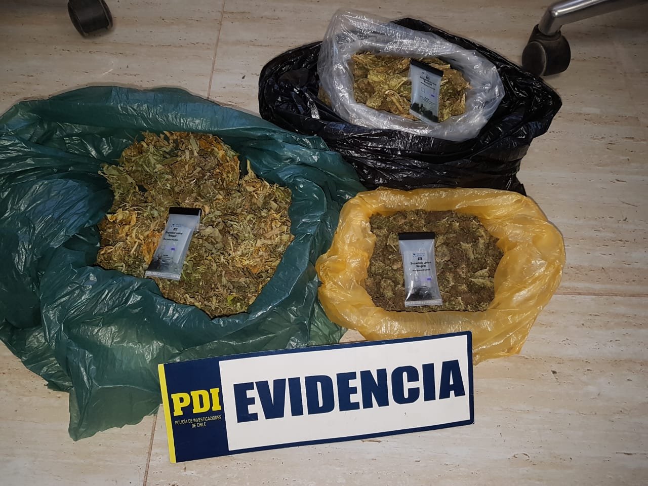 PDI encuentra nuevos cultivos de cannabis que se vincularían con el crimen de Mincha