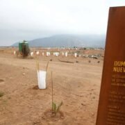 INDH se pronuncia por proyecto Dominga: La protección del medio ambiente es un Derecho Humano