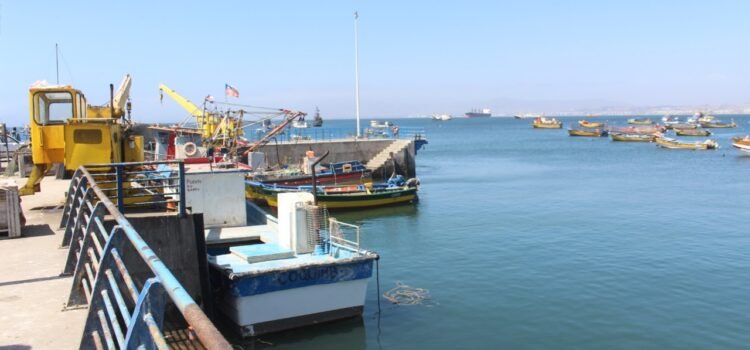 MOP ejecutará trabajos de conservación en la Caleta de Coquimbo