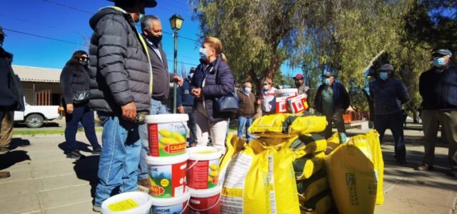 Entregan 180 mil semillas a pequeños agricultores afectados por las heladas y sequía en Monte Patria