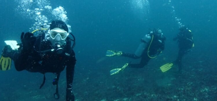 Las maravillas del mar: El buceo en Tongoy sigue captando la atención del público en plena pandemia