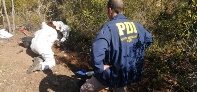 Encuentran cadáver de hombre enterrado en una plantación de marihuana en Los Vilos