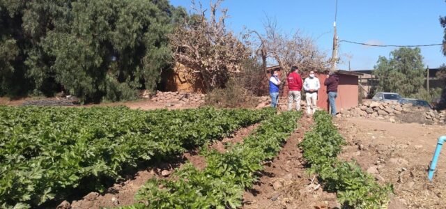 Regantes de todo el país podrán repostular sus proyectos de tecnificación y obras civiles a concurso por $3.500 millones