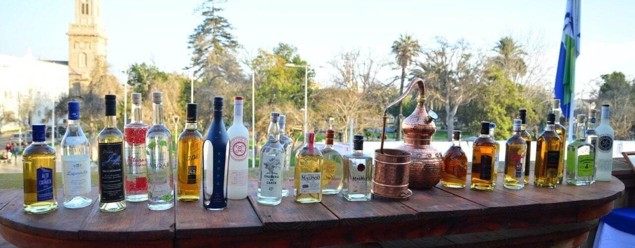 Feria del Pisco llega a la región de Coquimbo este 15, 16 y 17 de septiembre