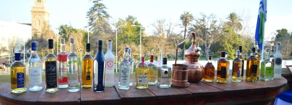 Feria del Pisco llega a la región de Coquimbo este 15, 16 y 17 de septiembre
