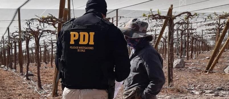 Fiscalizan a trabajadores migrantes en fundos agrícolas de Vicuña y Paihuano