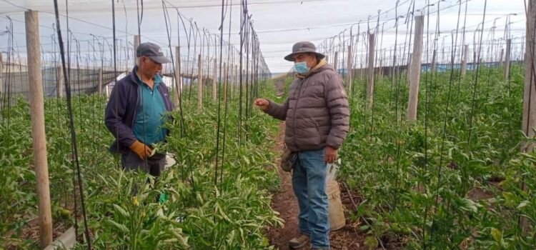 Municipio de Monte Patria pide condonar deuda de pequeños agricultores apropecuarios de INDAP