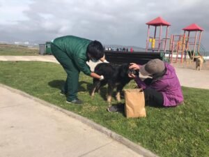 Operativos en terreno