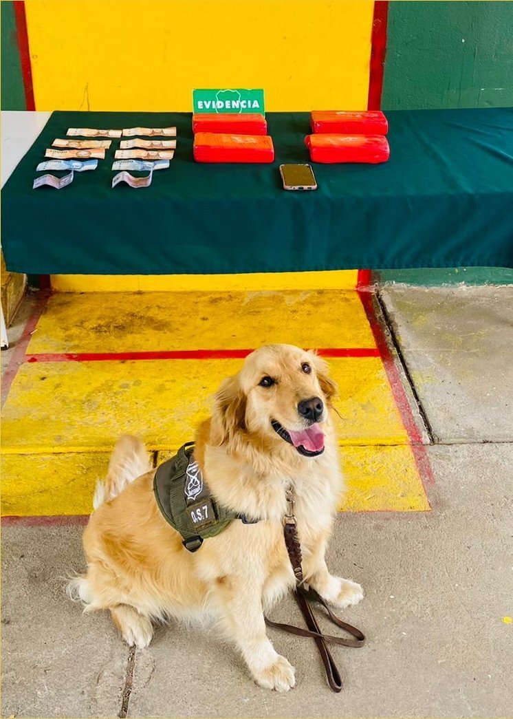 Perro carabinero