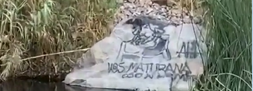 (VIDEO) Denuncian a hinchas de Coquimbo Unido por rayar piedras en Valle del Elqui