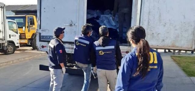Condenan a empresa involucrada en comercialización ilegal de 12 toneladas de pulpo en Coquimbo