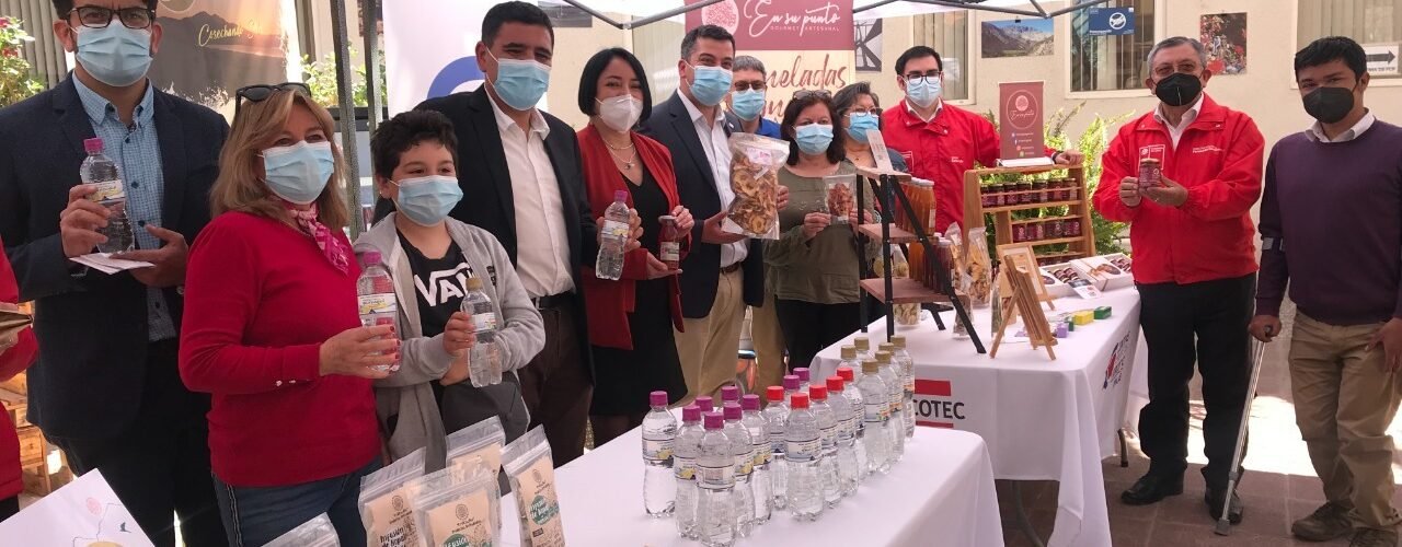 168 micro y pequeñas empresas del Limarí y Choapa serán beneficiadas por el programa Zonas Rezagadas