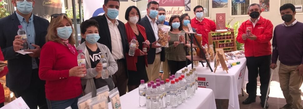 168 micro y pequeñas empresas del Limarí y Choapa serán beneficiadas por el programa Zonas Rezagadas