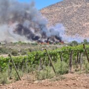 Alerta roja por incendio forestal que amenaza a viviendas en el sector La Granjita en Ovalle