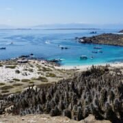 Carlos Gaymer por Reserva Nacional Pingüino de Humboldt: “Decretar un Área Marina Protegida de Múltiples Usos es sólo una decisión política”.