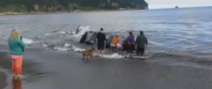 Ballena varó