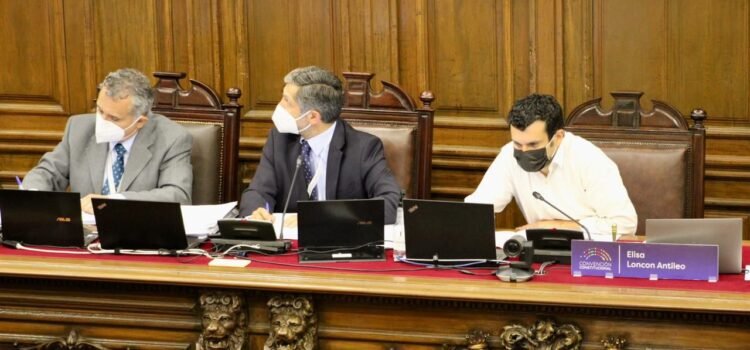 Convención aprueba cronograma de trabajo constitucional