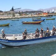 Exitoso campeonato nacional de buceo y pesca submarina se desarrolló en la caleta Guayacán