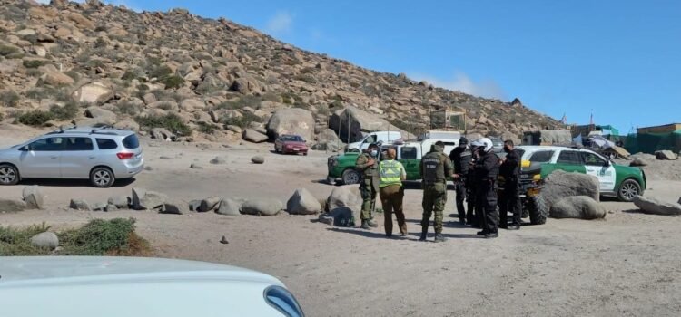 Incautan 1.101 kilos de machas en Punta Teatinos