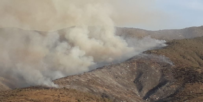 Onemi declara Alerta Temprana Preventiva para la región de Coquimbo por amenaza de incendio forestal