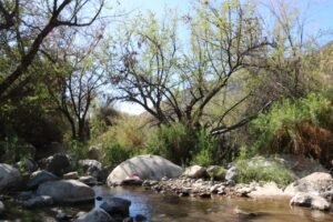 robo de agua en Provincia de Choapa