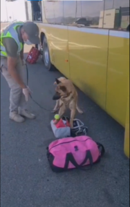 Incautan 10 kg de cocaína