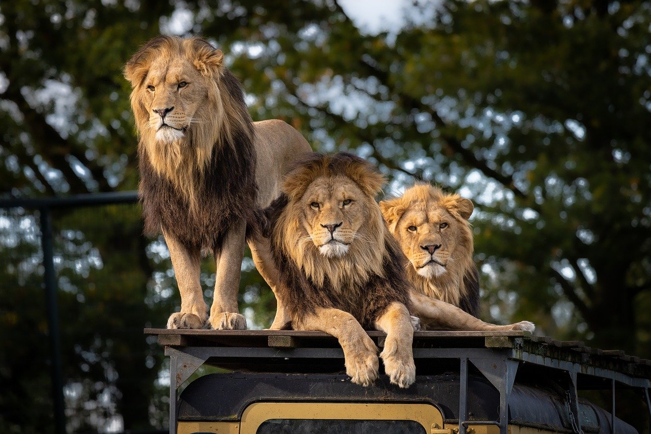 zoologicos