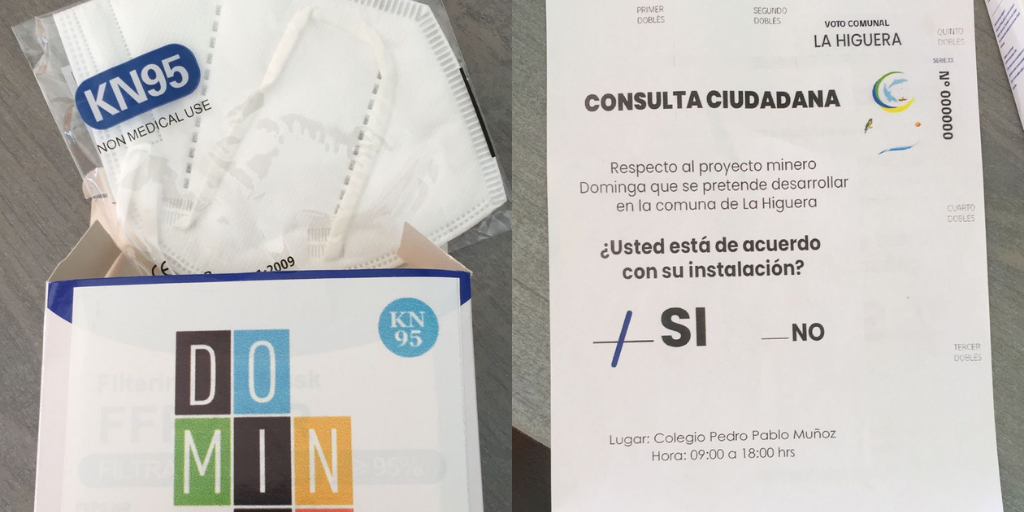 consulta ciudadana Dominga