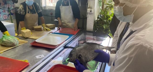 950 kilos de productos del mar han sido decomisadas en las más de 260 fiscalizaciones realizadas previo a semana santa