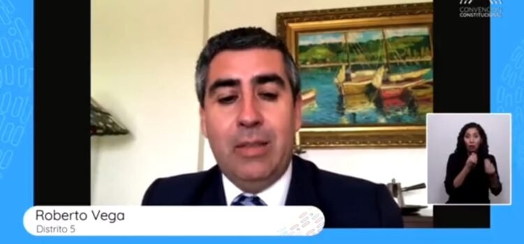 VÍDEO: Convencional Roberto Vega asegura que Constitución no permitiría vender helados de agua