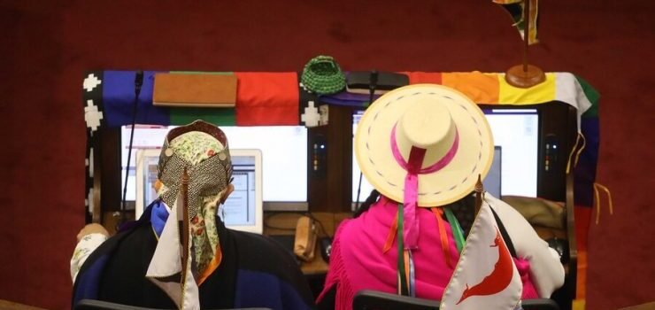 Pleno de la Convención rechaza en su totalidad el segundo informe de la Comisión de Pueblos Indígenas