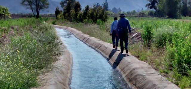 Nuevas iniciativas permiten mejorar la disponibilidad y eficiencia en el uso del agua para la producción agrícola en Choapa