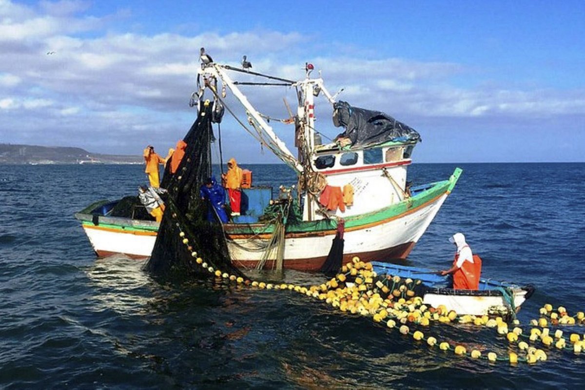 artesanal
