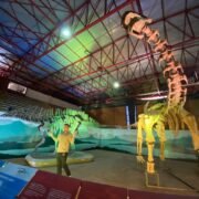 Coquimbo recibe exhibición de dinosaurios más grande y diversa de Chile