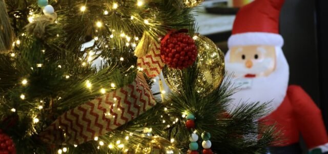Diputado de RN busca alargar fin de semana de Navidad declarando feriado el lunes 26