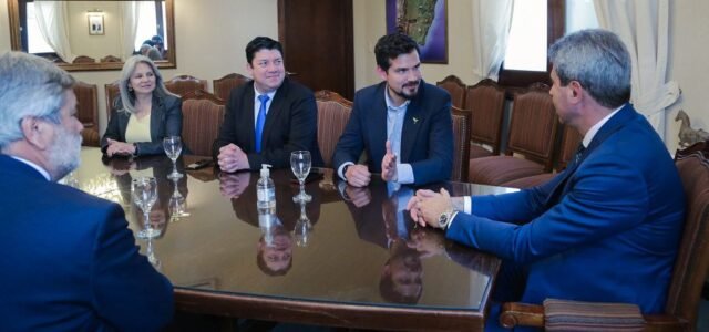 A pesar de las intensas reuniones de la comisión de dialogo político del Core no se pudo obtener autorización del Gobierno de San Juan para las veranadas