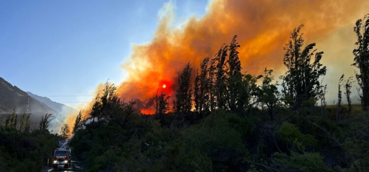 PDI investiga causas y afectación al medioambiente por incendio forestal en Monte Patria