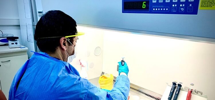 En el laboratorio CáncerLab de la UCN se procesan las muestras de innovador examen para detección temprana del Alzheimer