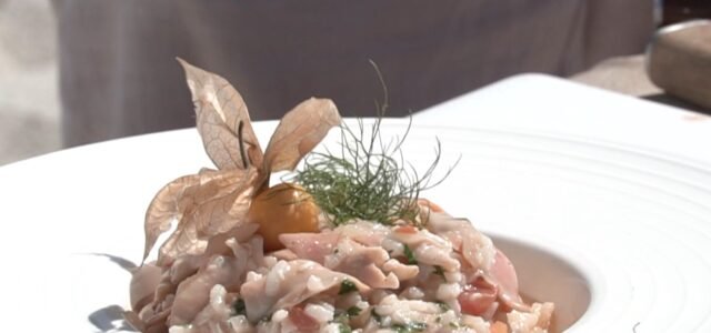 Caleta Sabor se traslada a Caleta Punta Choros, para preparar un delicioso Risotto de Machas con Queso de Cabra