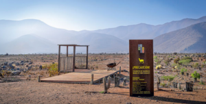 Rechazo-por-casación-en-contra-de-Minera-Dominga-925x470