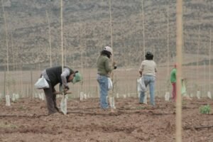 empleo2