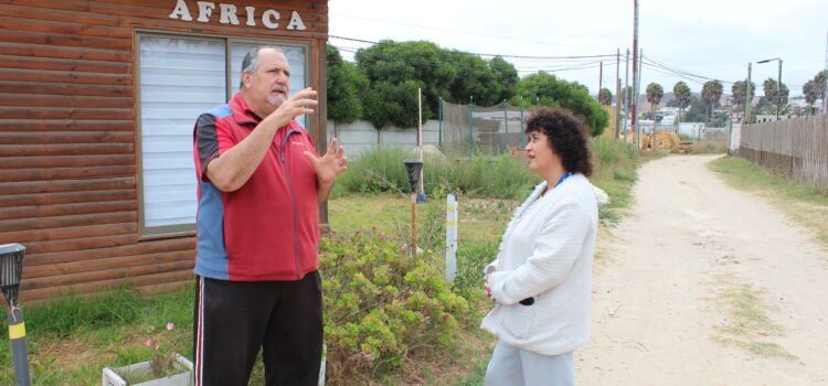 Cabañas de Coquimbo ahorran 80% del consumo de energía gracias a sistema fotovoltaico