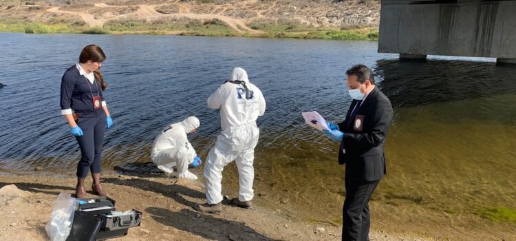 Presencia de restos orgánicos en conchas de ostiones motiva investigación por posible contaminación del Estero de Tongoy